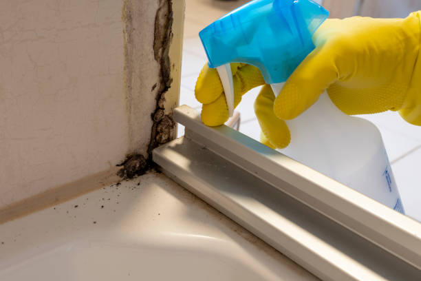 Best HVAC Mold Remediation in Washgton, IN