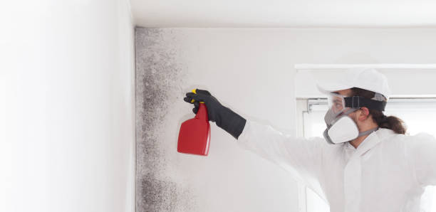 Best Industrial Mold Remediation in Washgton, IN